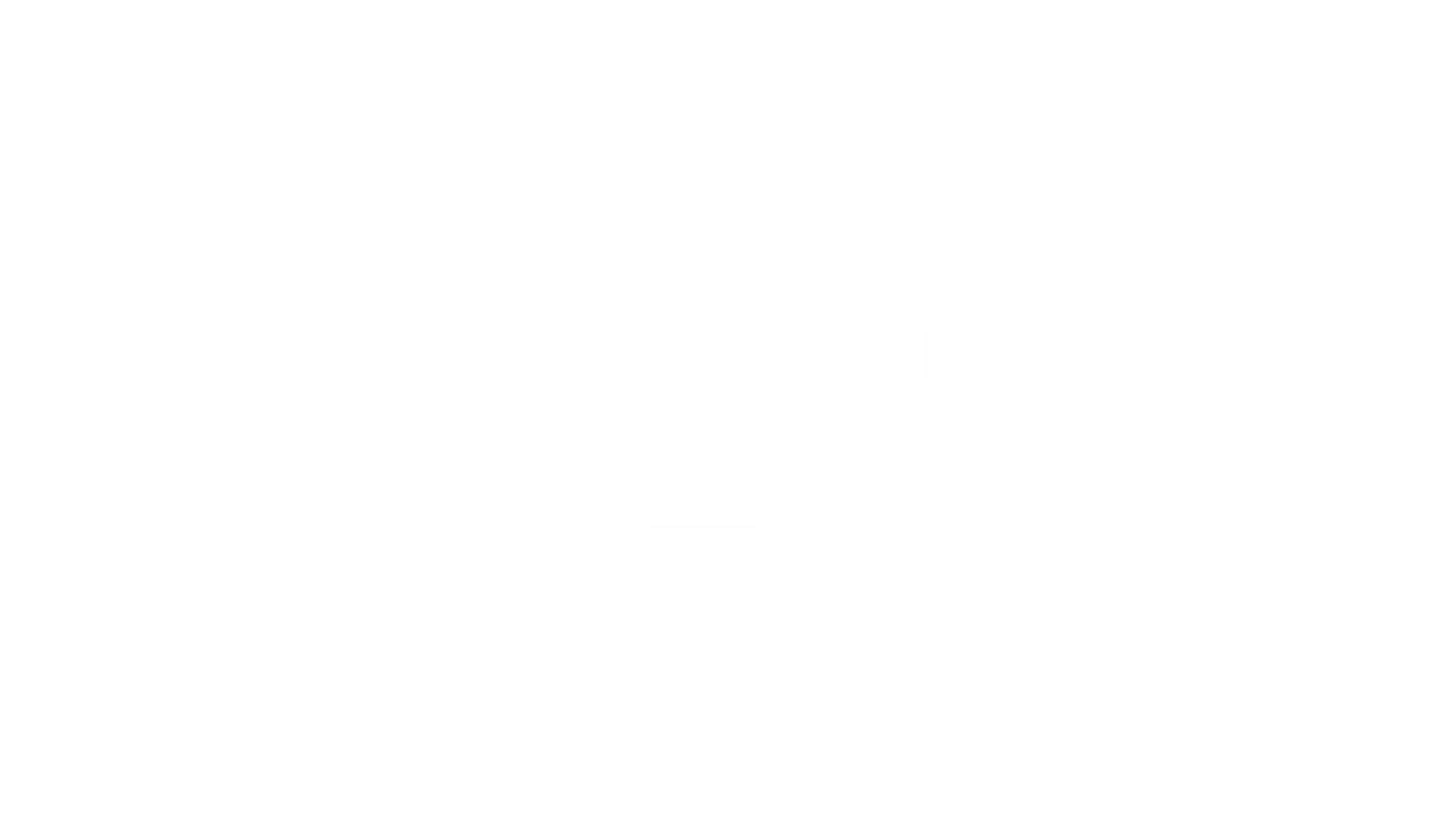 Home 13 fs1-logo